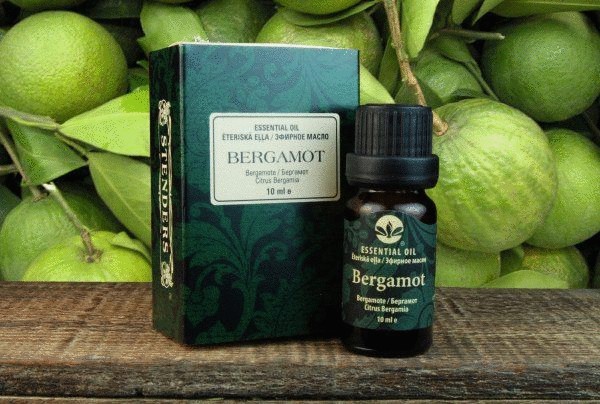 Бергамот - многофункциональное растение
