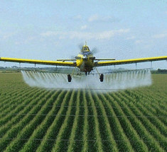 Тотальная химизация жизни или пестициды & Co в пищевых продуктах