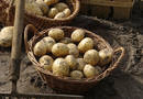 Выращивание картофеля под соломой — экономим время и средства!
