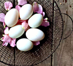 4 простых способа проверить свежесть яиц