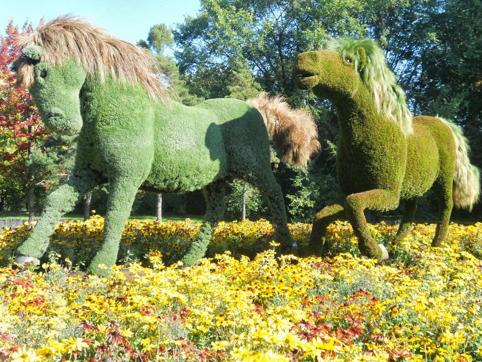 Изысканное зеленое искусство: живые статуи