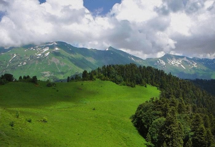Кавказскому государственному природному биосферному заповеднику 90 лет