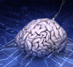 Исследование: одновременное использование нескольких гаджетов изменяет структуру мозга