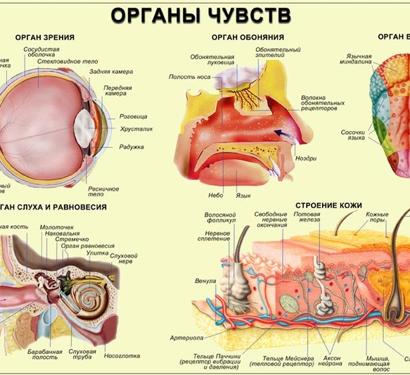 Раскраски по номерам триптих лавандовое поле Раскраски по номерам триптих лавандовое поле