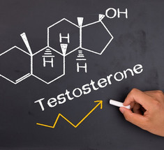 У мужчин каких профессий самое низкое содержание тестостерона