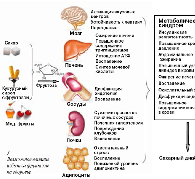 Сахарный диабет если поднялся сахар в крови что делать 113