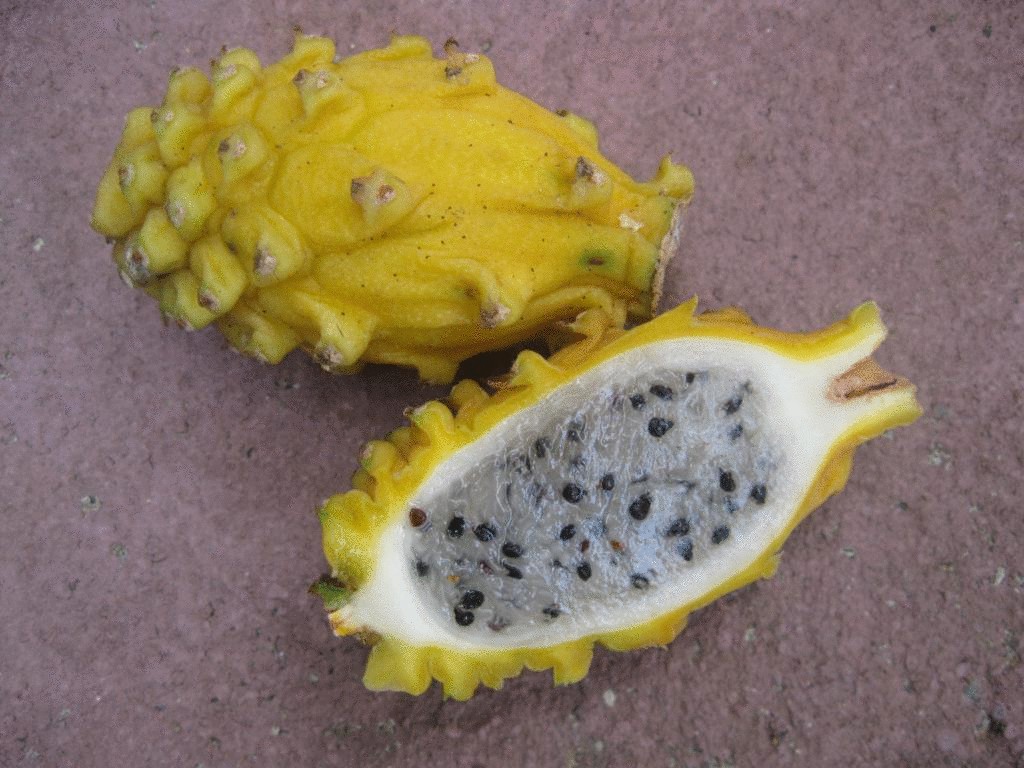 Драконий фрукт- питахайя 