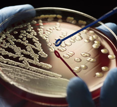 Устойчивость к антибиотикам: Почему это важно знать?