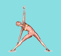 Как улучшить осанку: упражнения от балерин