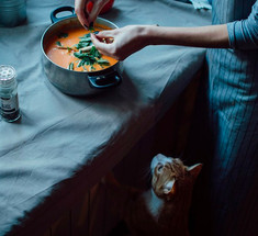 Магрибский суп для желающих сбросить пару-тройку килограмм