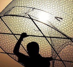 Японский рыбак получил премию за изобретение безопасной сети
