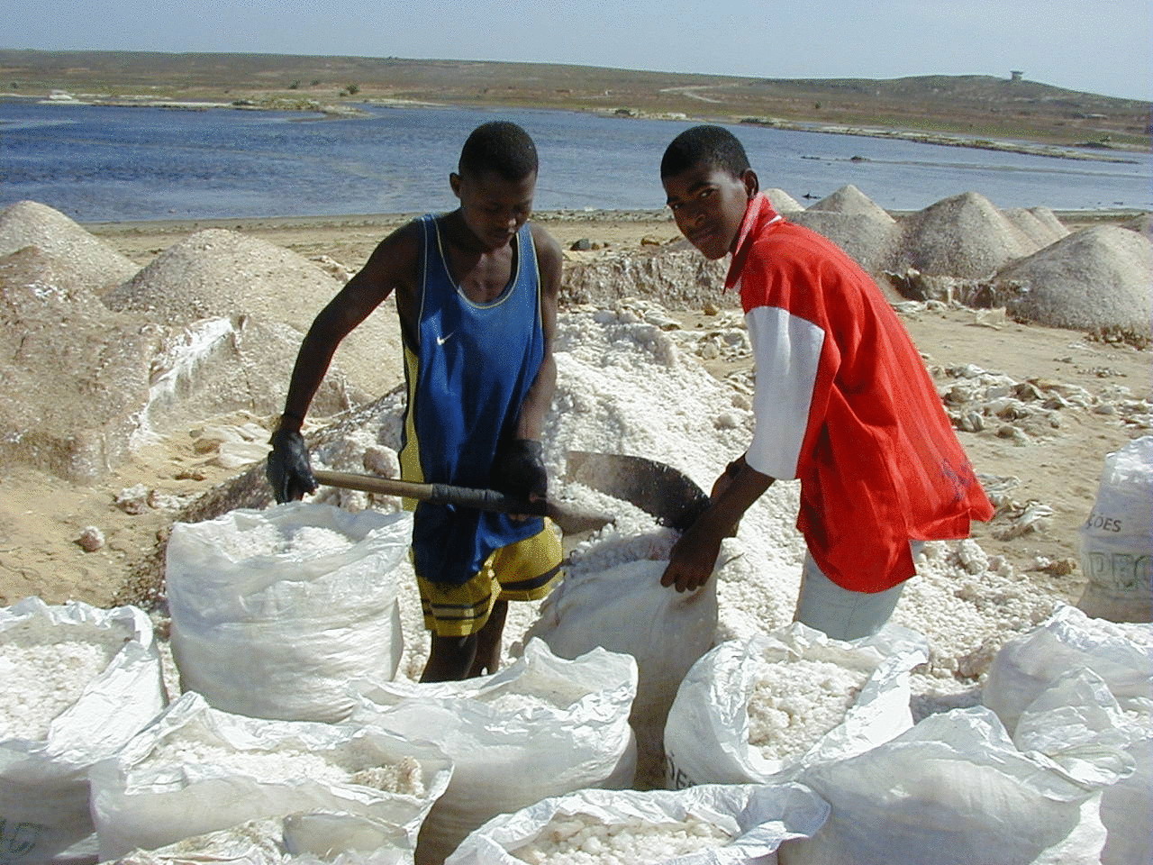 Добыча соли на озере Кэтви в Уганде