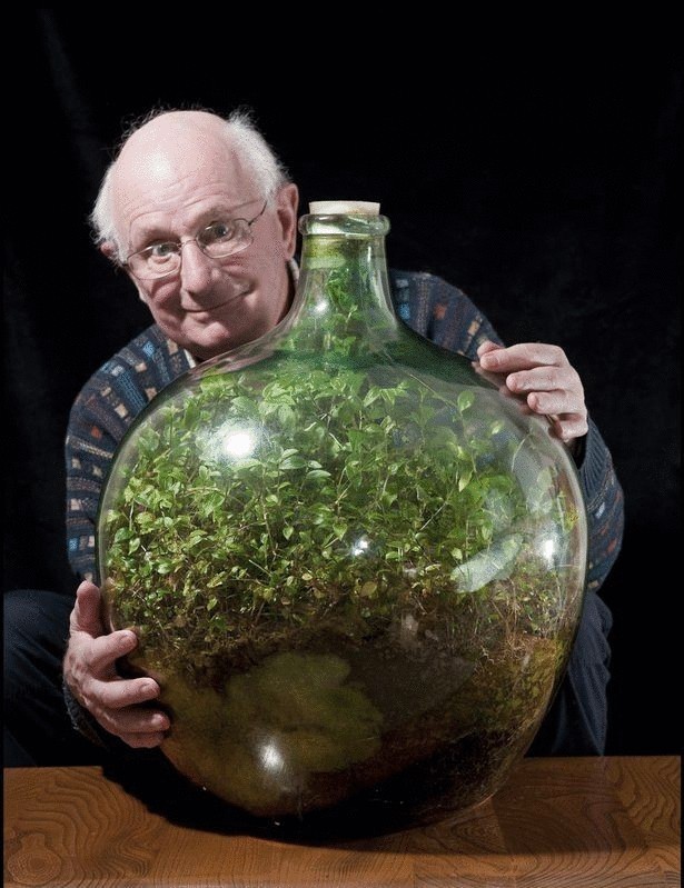 Экосистема, которая уже сорок лет развивается в закупоренной бутылке