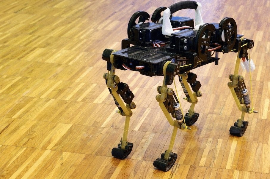 Швейцарцы сконструировали робота-кошку