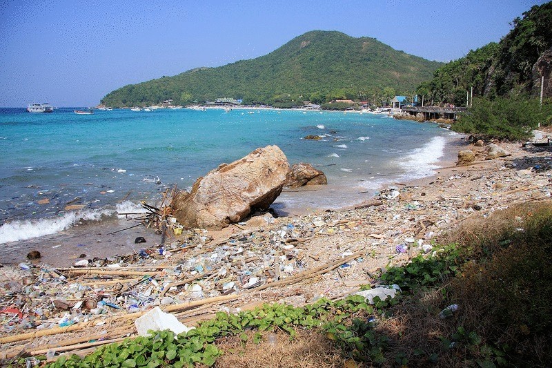 Создано приложения для iPhone, которое поможет найти самый чистый пляж