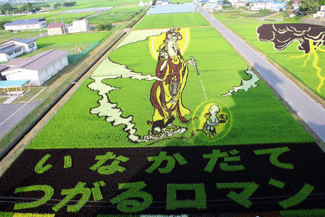 Осень: лучшее время, чтобы увидеть гигантские рисунки на рисовых полях в Японии 