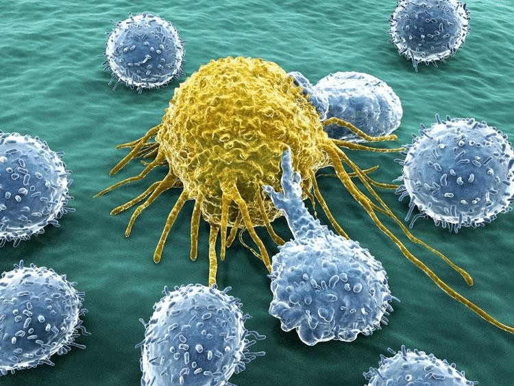 Американские ученые смогли создать молекулу, которая убивает рак