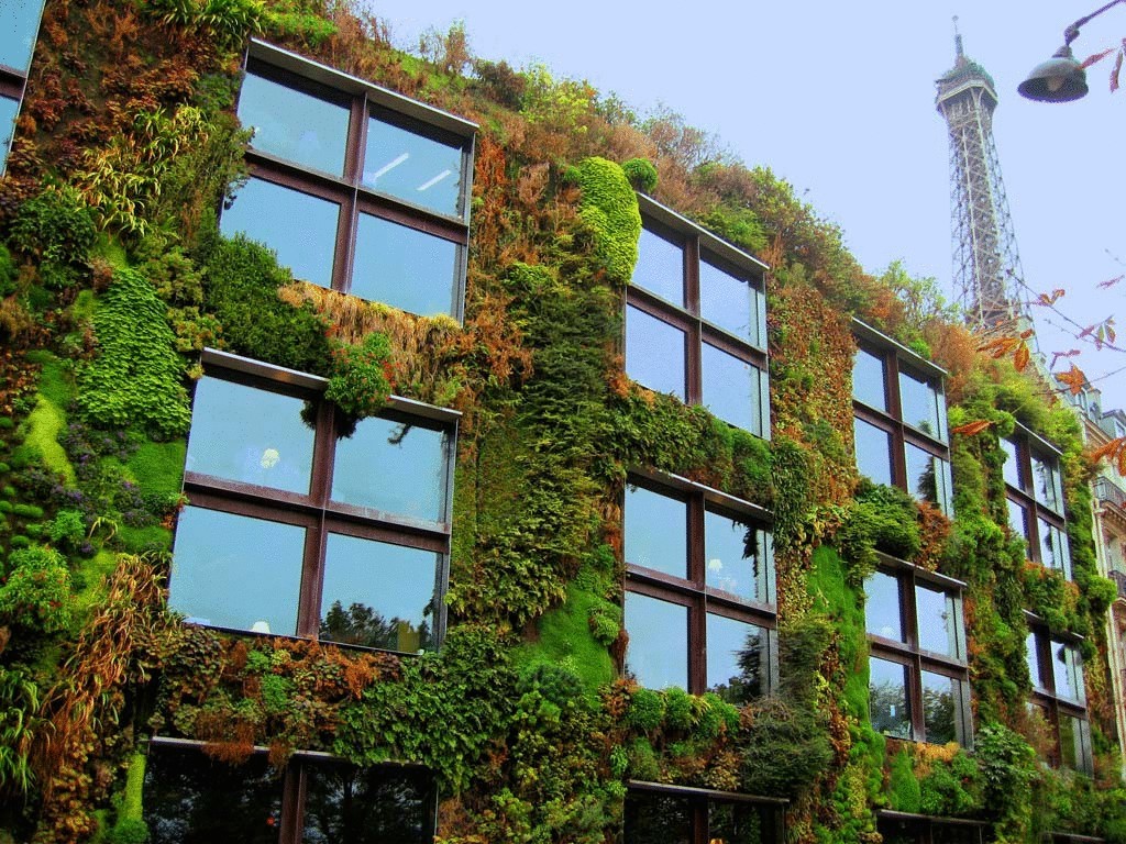 Потрясающий вертикальный сад, украшающий здание в Париже 