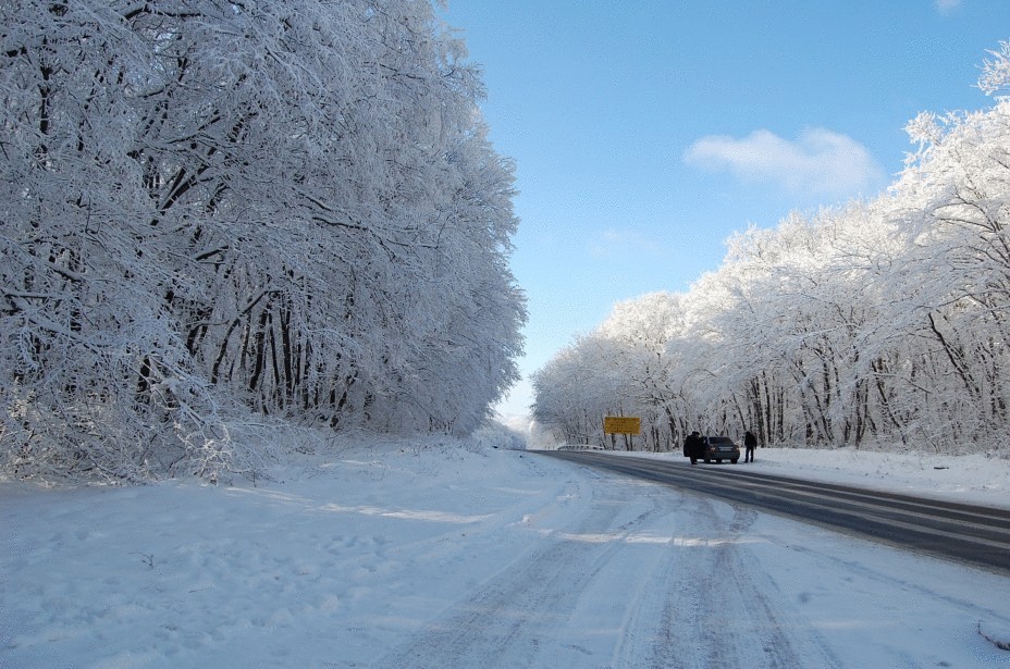 5 причин, чтобы поехать в Крым зимой