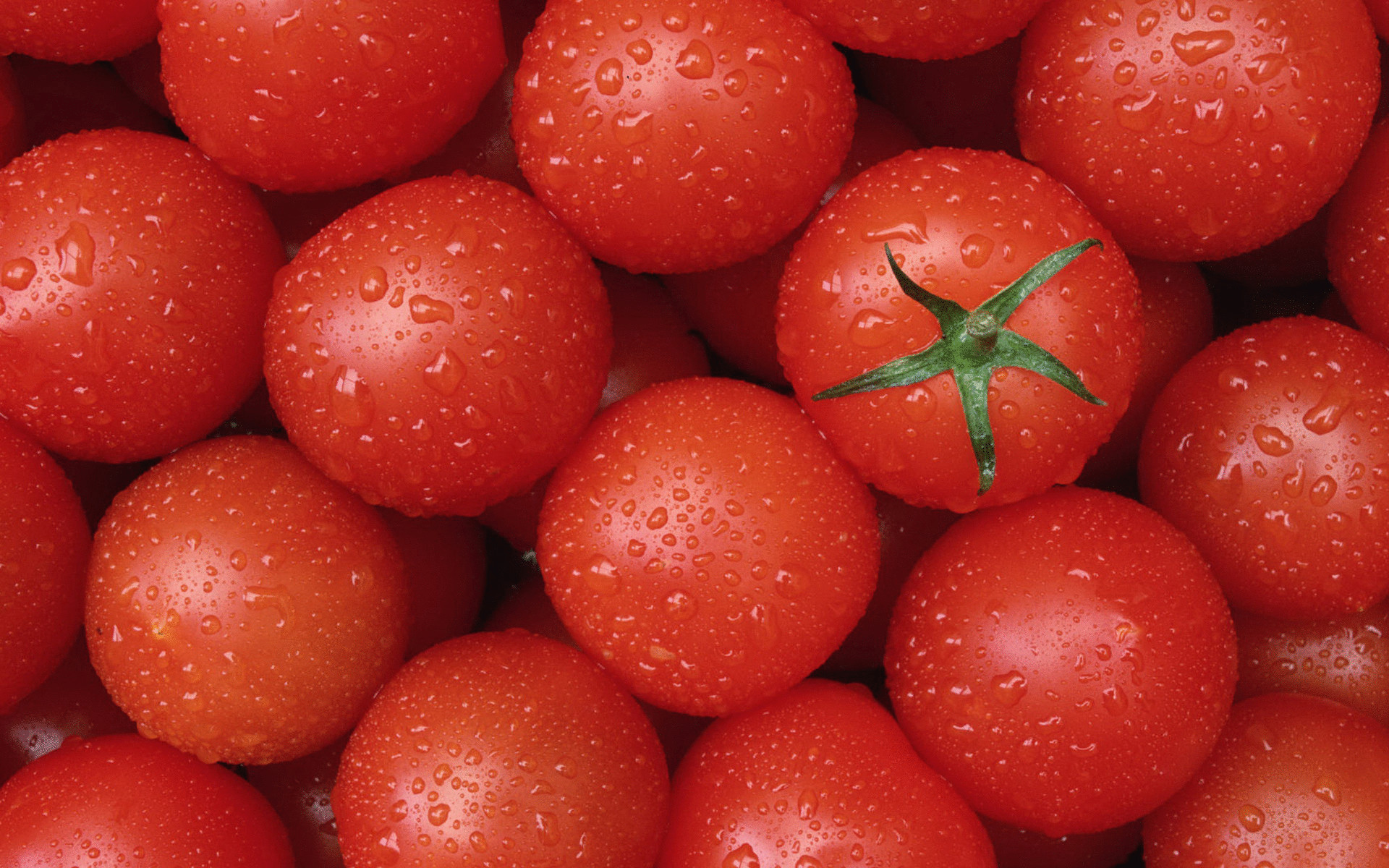 Эффективная томатная диета для Вас