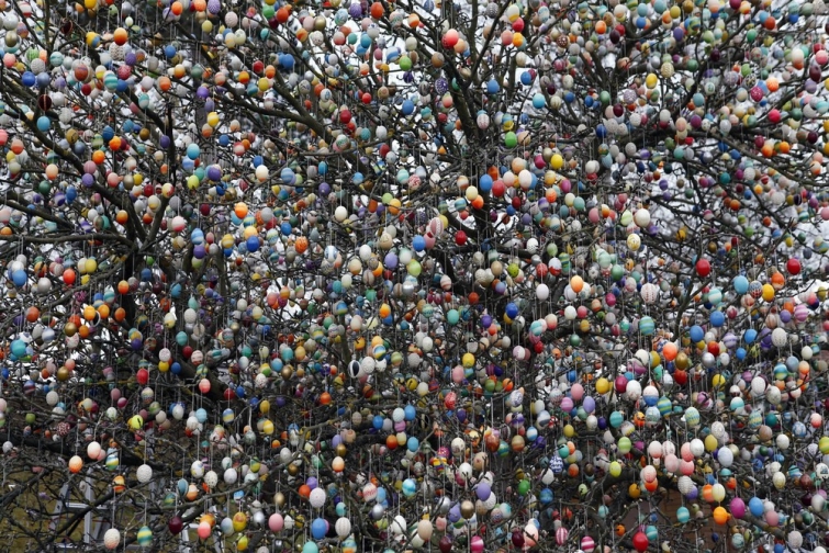 Уникальное дерево в Германии, украшенное  семьей Крафт 10 тысячами пасхальных яиц