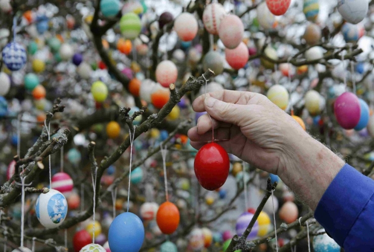 Уникальное дерево в Германии, украшенное  семьей Крафт 10 тысячами пасхальных яиц