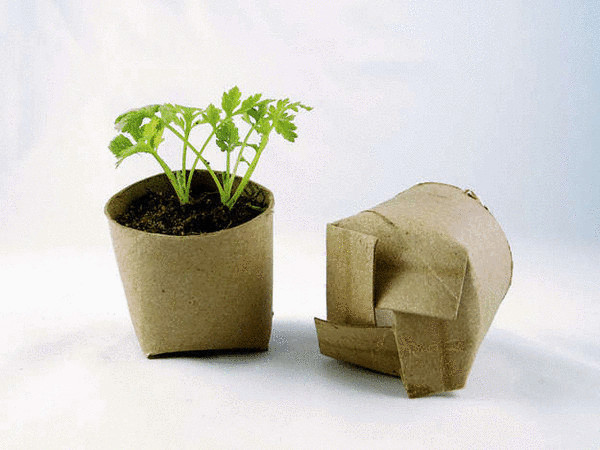 biodegradable-planters