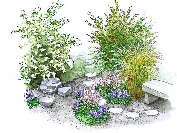 Один сад — две идеи: цветник без хлопот и живые изгороди