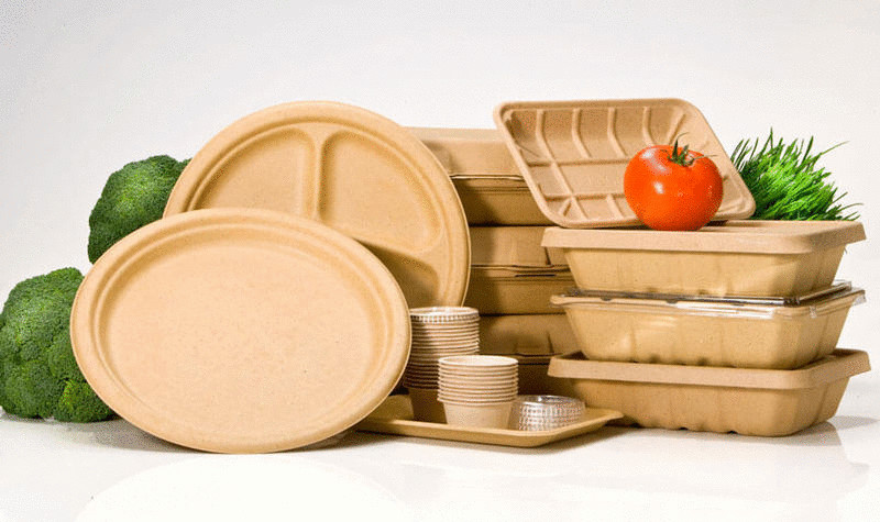 Школьные столовые  в США теперь будут использовать биоразлагаемые тарелки