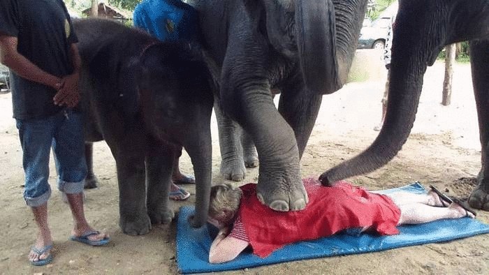 Слоновий массаж.