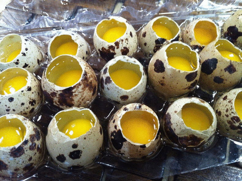 Польза и лечебные свойства перепелиных яиц