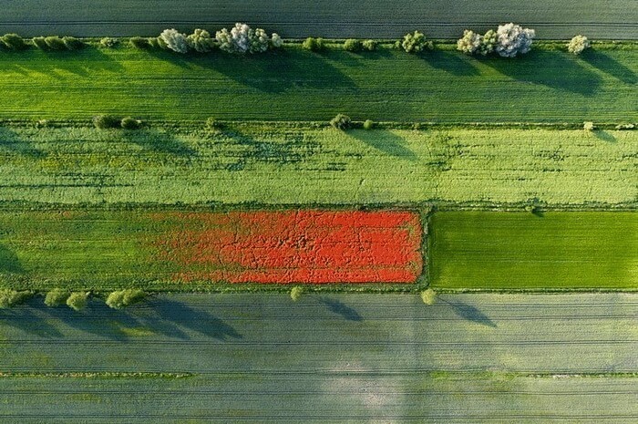 Аэрофотография от Каспера Ковальски—Польша с высоты птичьего полета
