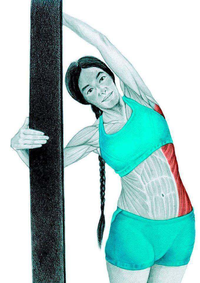 Анатомия стретчинга: растяжка широчайших мышц у стены