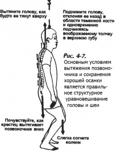 Лучшие упражнения для здоровья Вашего позвоночника