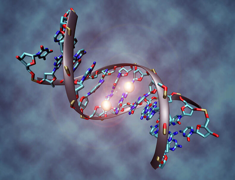 Грегг Брейден - Молекула ДНК может исцелиться при помощи «ЧУВСТВ» человека