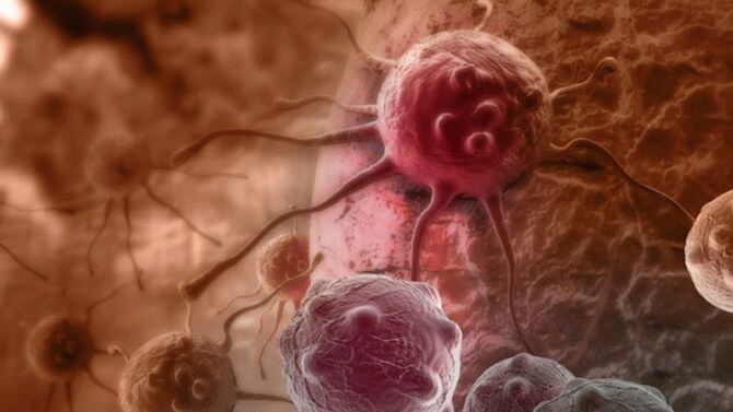Ученые обнаружили антитело, подавляющее рост раковых опухолей