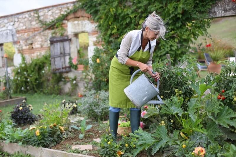 Как правильно поливать огород
