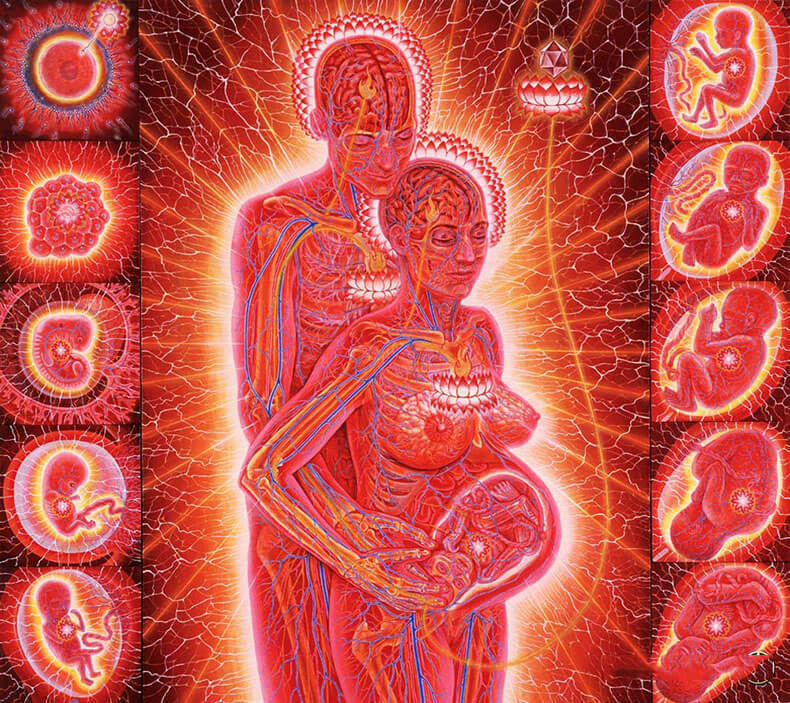 Беременность, рождение и дети