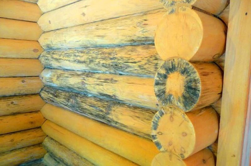 Как защитить деревянный фасад дома в различных условиях