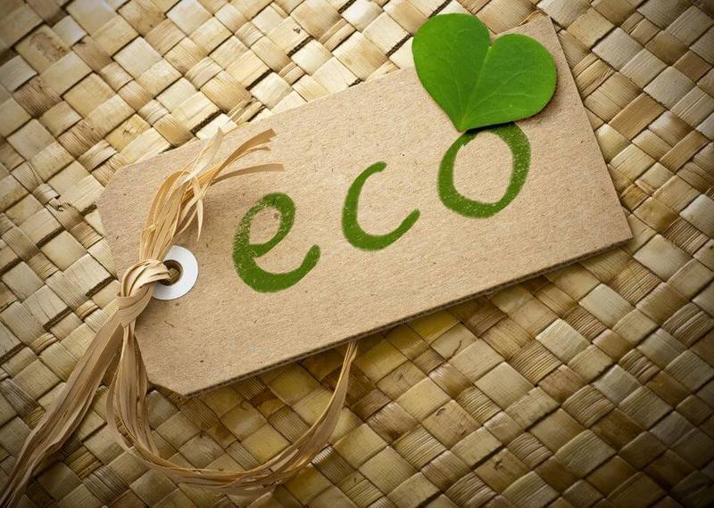 «Зеленый» магазин или Как заработать на экологии