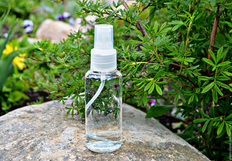 Гидролат розмарина - универсальная вода для ухода за кожей
