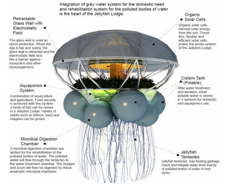 «Зеленые» медузы на солнечных батареях