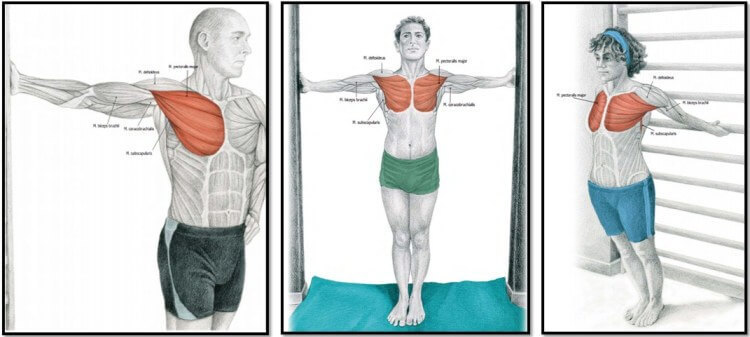 Как правильно растягивать мышцы