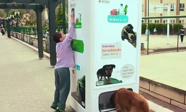 Автомат, который кормит бездомных животных +видео