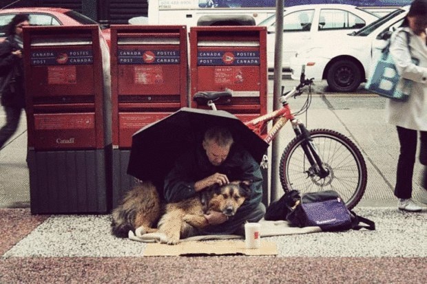 Пронзительный фоторепортаж—собаки и бездомные