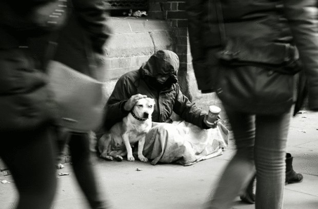 Пронзительный фоторепортаж—собаки и бездомные