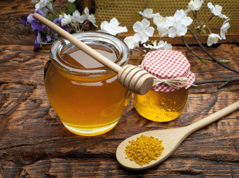 Мед— средство борьбы с резистивностью бактерий
