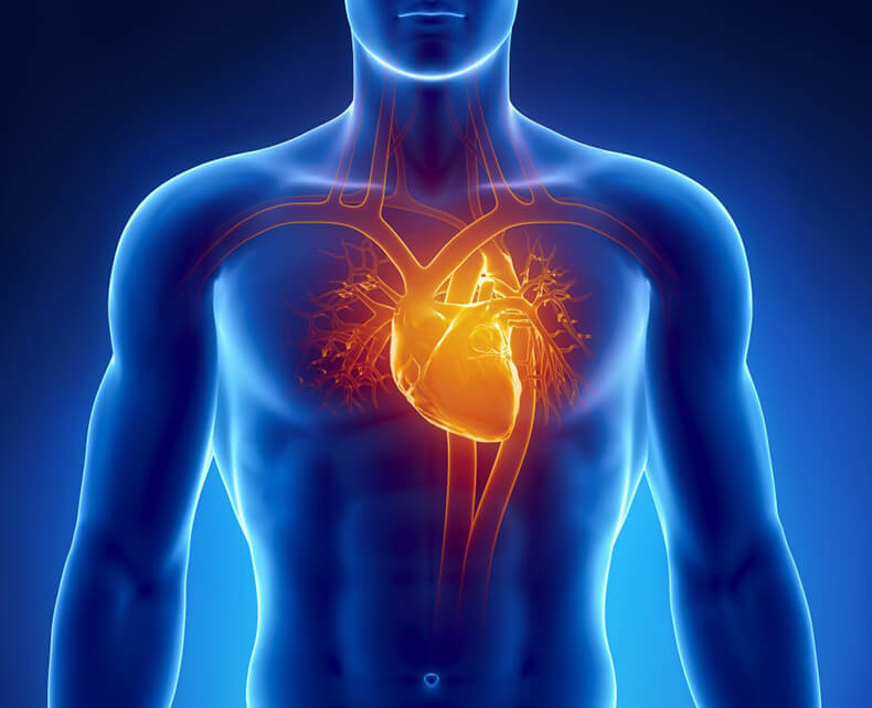 Как предотвратить сердечный приступ