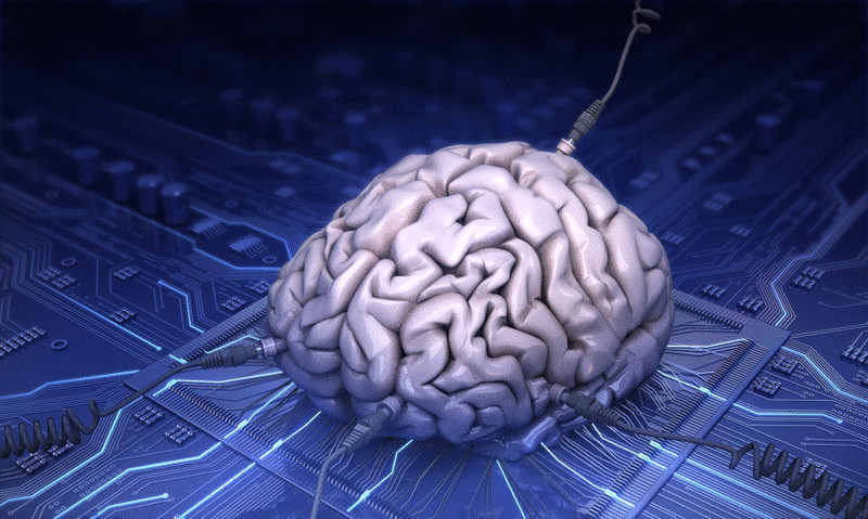 Исследование: одновременное использование нескольких гаджетов изменяет структуру мозга