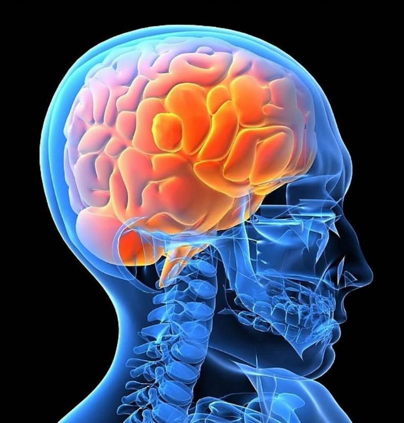 Как витамины группы В укрепляют здоровье мозга, улучшают познание, помогают при проблемах с психикой